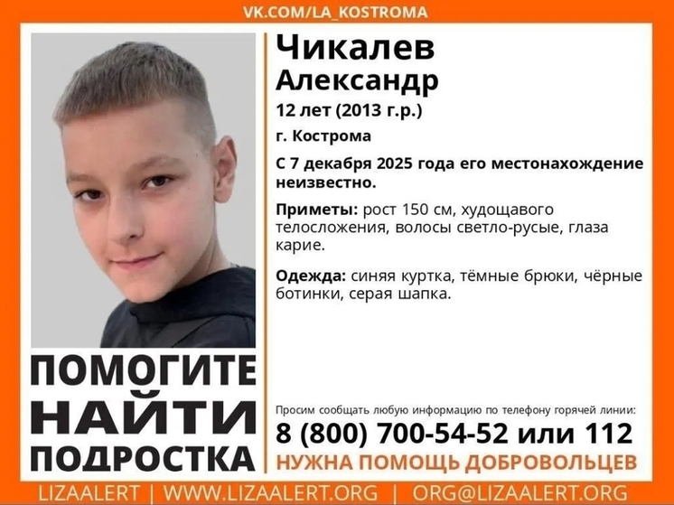Костромские волонтеры из отряда «Лиза Алерт» разыскивают пропавшего подростка