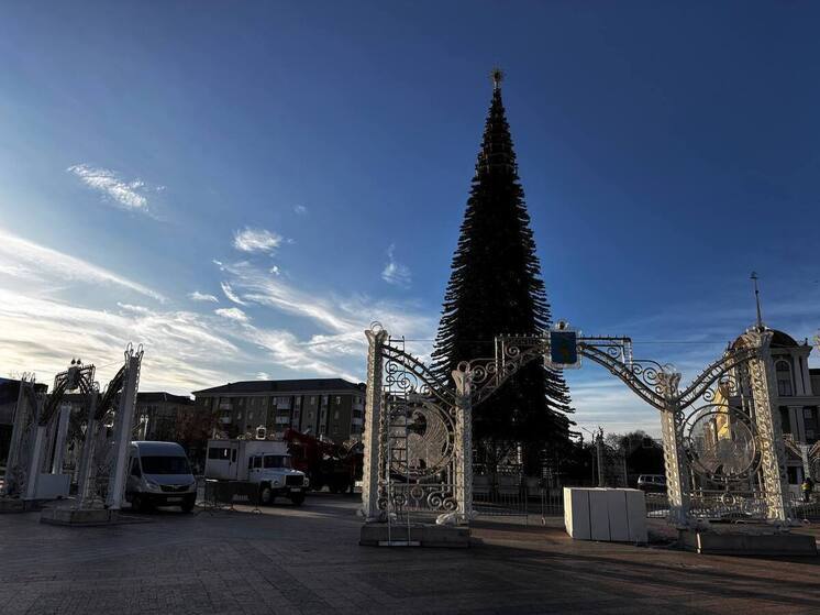 В Белгороде начали украшать елку на Соборной площади