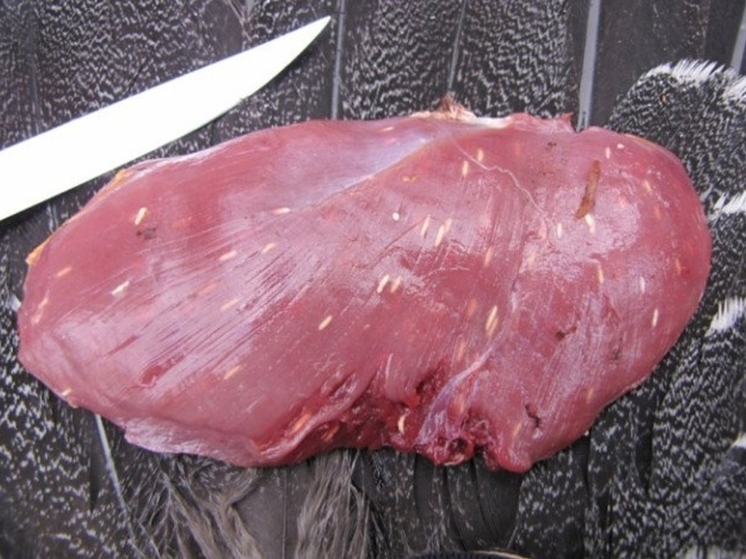 В Ярославской области в двух районах выявлен трихиннилез