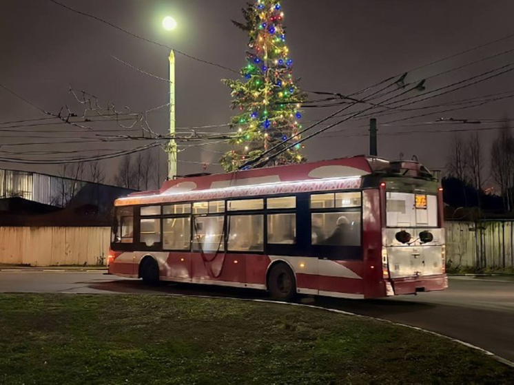 Тульский Минтранс описал, как украсят общественный транспорт перед Новым годом