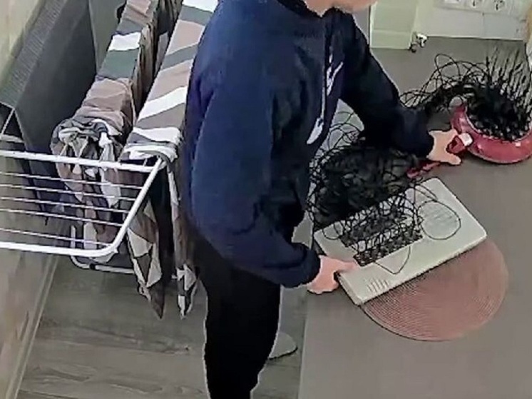 Обслуживавший телефонные терминалы житель Подмосковья попался сотрудникам СК