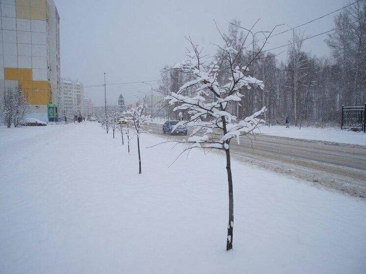 Морозный вторник ожидает южноуральцев