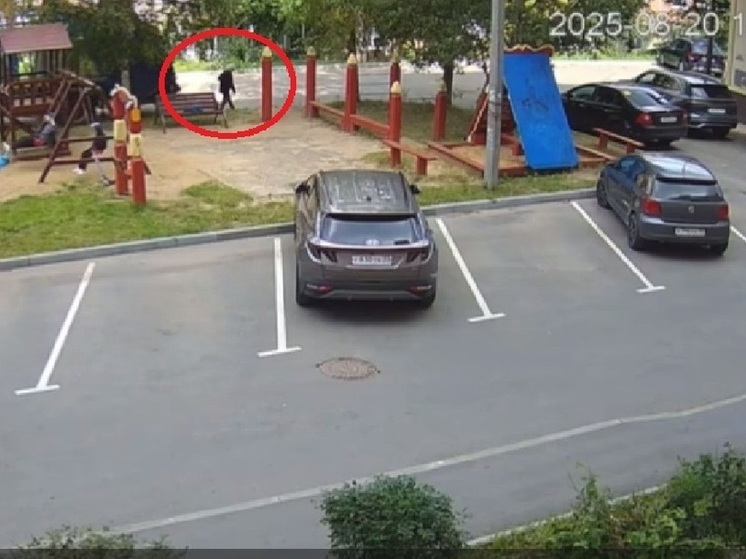 Во Владимире вынесен приговор водителю фуры за раздавленную женщину