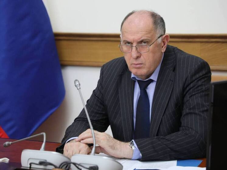 Власти Дагестана готовят изменения в законодательство о бездомных животных