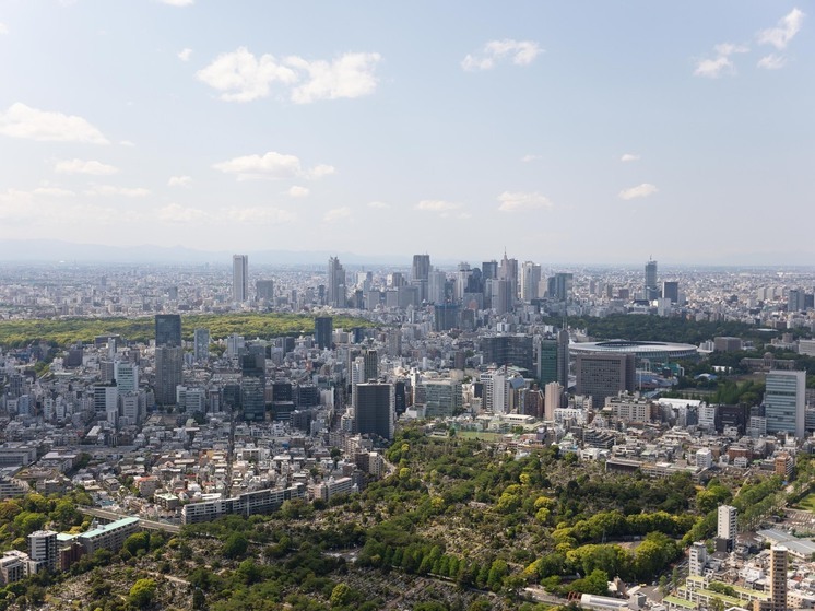 В АТОР заявили, что землетрясение в Японии не повлияло на популярные маршруты у российских туристов
