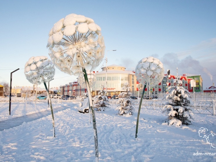Администрация Нарьян-Мара приглашает жителей в возрасте от 14 до 35 лет принять участие в творческом конкурсе «Талисман Нарьян-Мара» в рамках акции «Мой подарок городу»