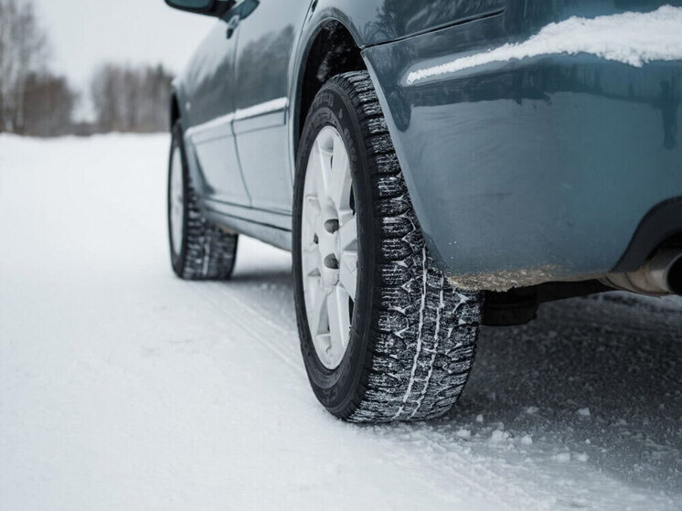 В Бурятии владелец лошади выплатит за разбитый автомобиль