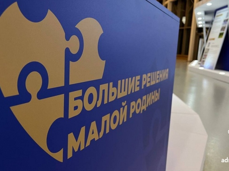 На минувшей неделе в мастерской управления «Сенеж» Президентской платформы «Россия — страна возможностей» прошел форум-выставка муниципальных практик «БОЛЬШИЕ РЕШЕНИЯ МАЛОЙ РОДИНЫ»