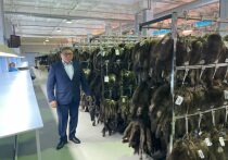 ООО «Центр заготовки пушнины», объединяющий 12 улусов Якутии, осуществляет деятельность на территории 13 участков, охватывающих в общей сложности 8,8 млн гектаров земельных угодий