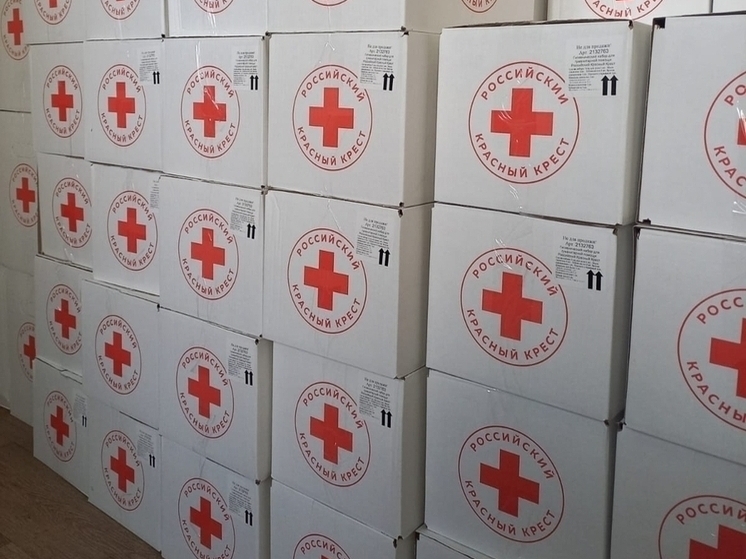 РКК оказал помощь более 143 тысячам жителей пострадавших районов Курской области