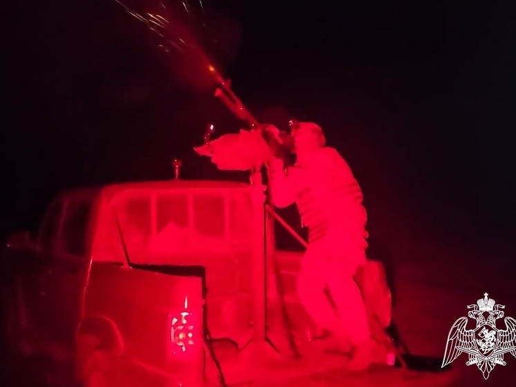 Бойцы Росгвардии в Курской области сбили беспилотник ВСУ из стрелкового оружия