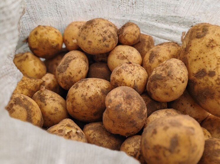 В Бурятии подвели итоги конкурса на получение грантов в АПК