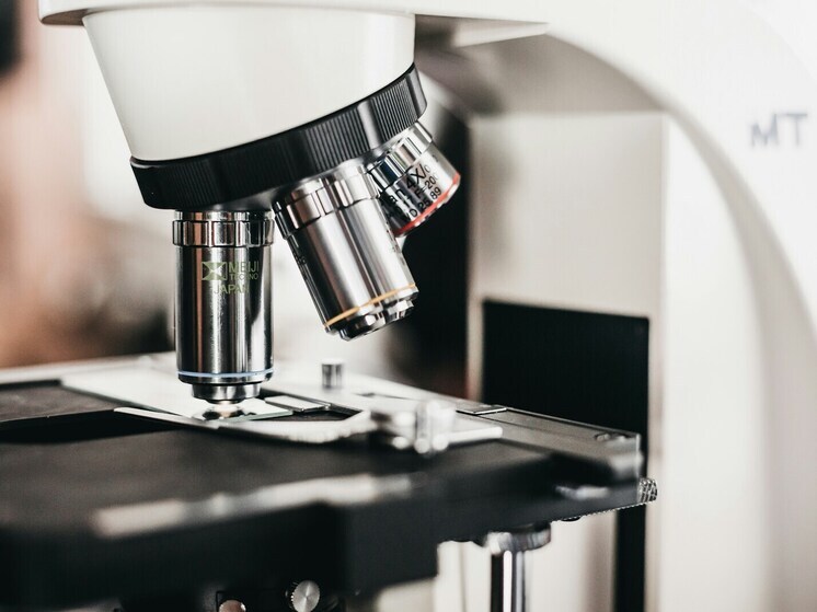 В Улан-Удэ ученые из ВСГУТУ разрабатывают производство низкоаллергенного мяса