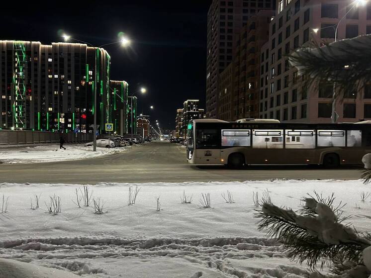 Поставщик новых автобусов, закупленных для Барнаула, заплатит крупный штраф