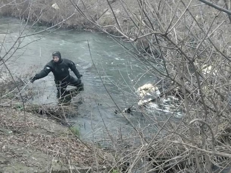 В Курске в Тёплом канале обнаружили тело мужчины