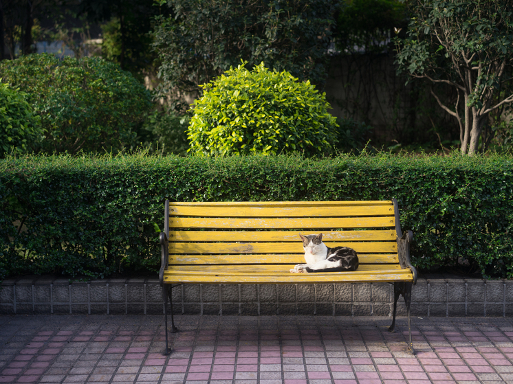 В Красноярске до 10 июля 2026 года благоустроят два сквера на улице Копылова