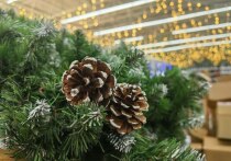 До Нового года осталось немного!
С 12 декабря 2025 года улицы Владивостока наполнятся не только предновогодней суетой, но и неповторимым ароматом хвои