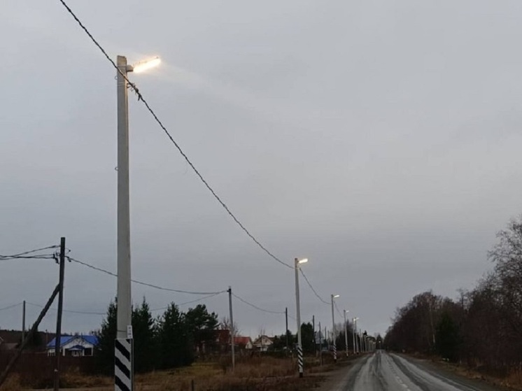 Более 80 фонарей установили в деревне Суйсарь в Карелии