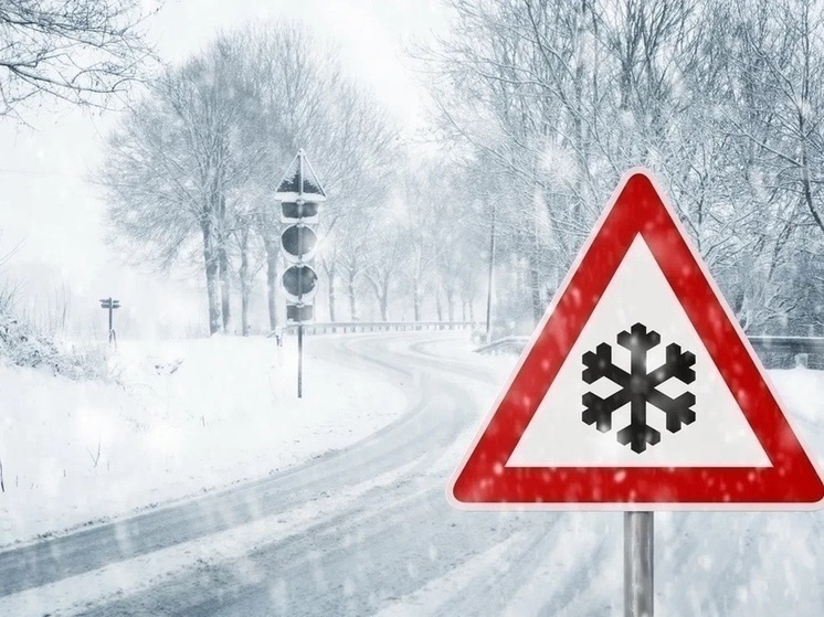 И снег, и ветер ждут сегодня костромичей