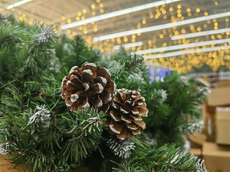 До Нового года осталось немного!
С 12 декабря 2025 года улицы Владивостока наполнятся не только предновогодней суетой, но и неповторимым ароматом хвои