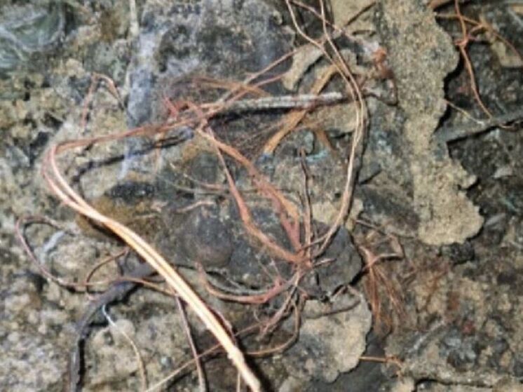 Три пожара произошли в Приангарье за сутки из-за короткого замыкания