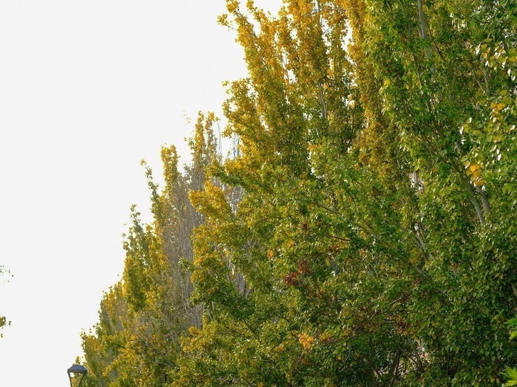 Беспилотную опасность отменили в Волгоградской области утром 9 декабря