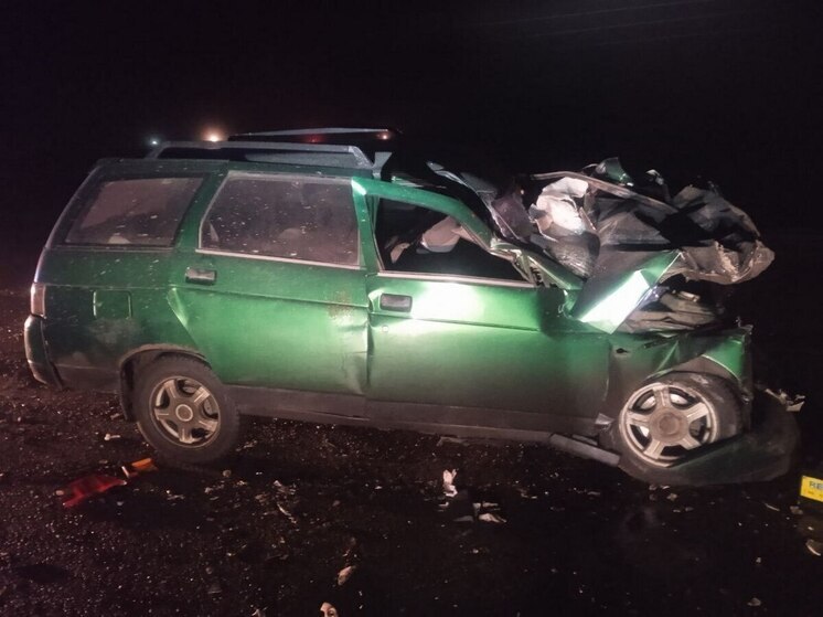 Под Воронежем в больнице скончался водитель, врезавшийся на «Ладе» в грузовик