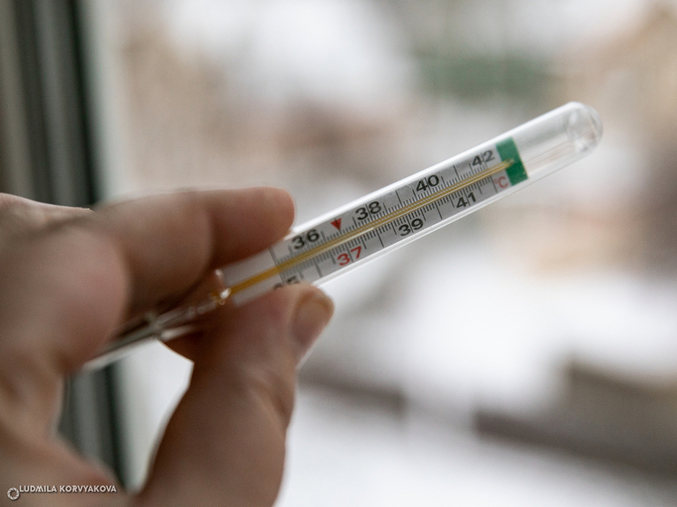 Заболеваемость ОРВИ и гриппом в Карелии за последнюю неделю увеличилась