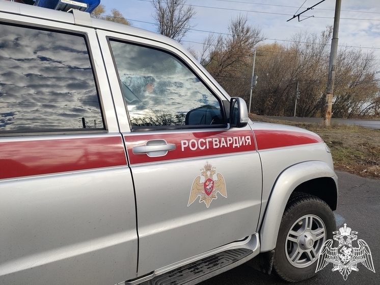 За неделю курские росгвардейцы задержали двух подозреваемых в преступлениях