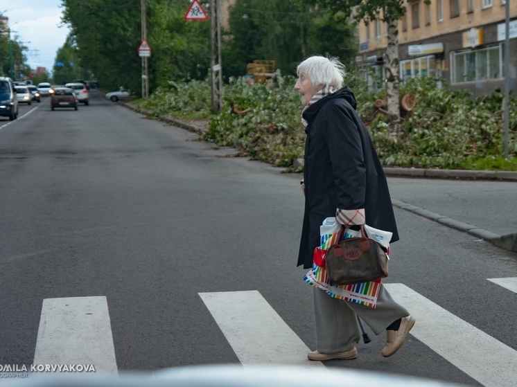 За десять лет численность трудоспособного населения Петрозаводска снизилась на 20%