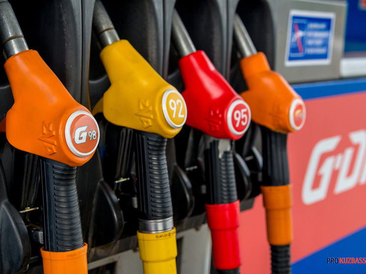 В Кузбассе для многодетных семей могут ввести льготные топливные карты