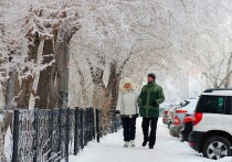 Сервисы «Авито Товары» и «Авито Реклама» выяснили, как россияне совершают зимние покупки, опросив для этого 10 тысяч граждан старше 18 лет