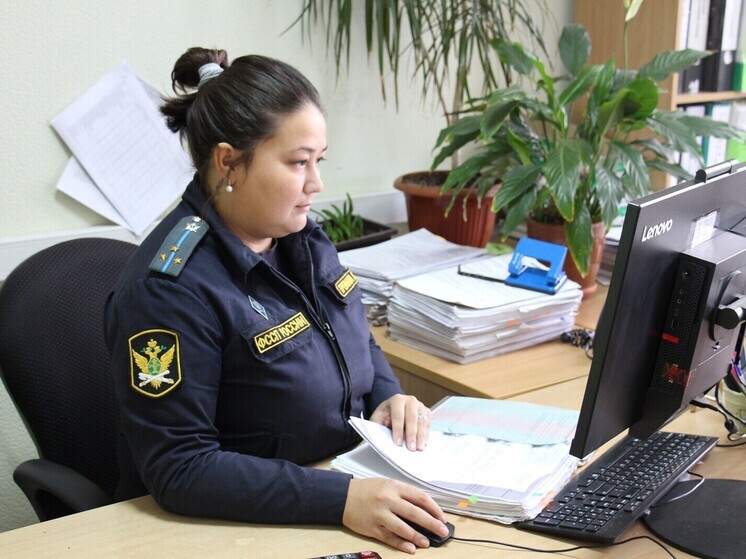 Беспокойные соседи: в лысьвенской деревне принудительно ликвидировали передержку для собак