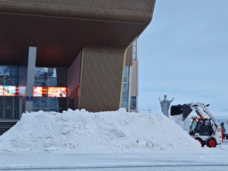 В Анадыре началась установка главной новогодней ёлки округа