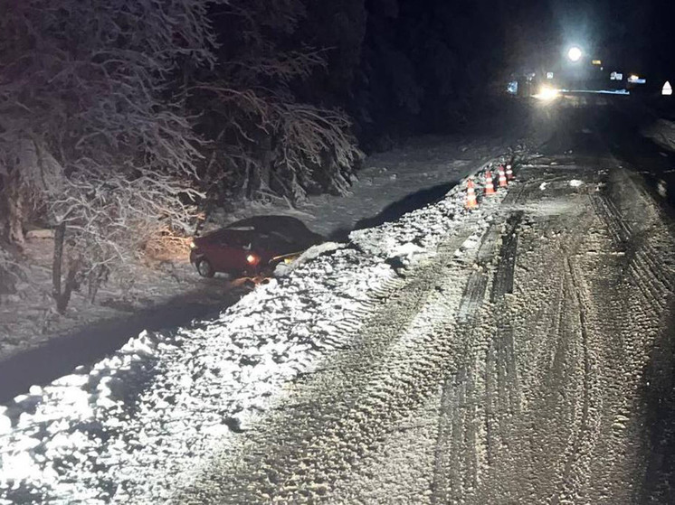 В Валдайском округе иномарка улетела в кювет