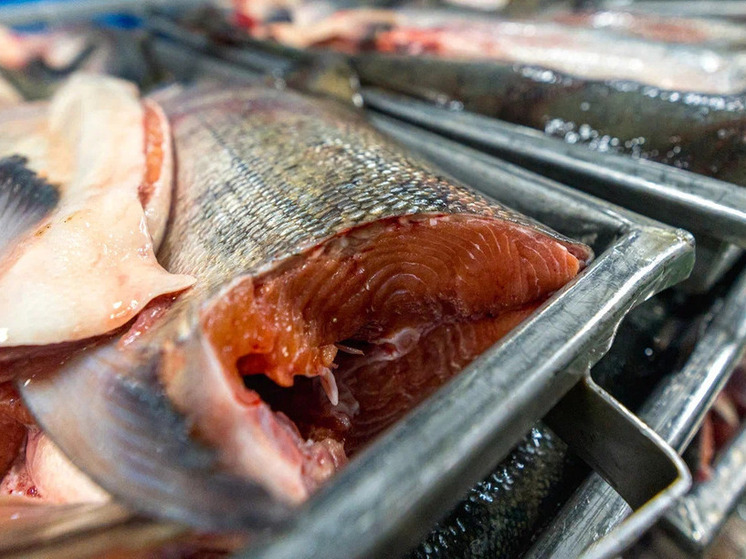 На Сахалине и в Приморье экспорт рыбы за неделю увеличился в 3,6 раза