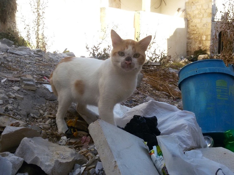 Новогодний фестиваль «Теплота» пройдет в Екатеринбурге