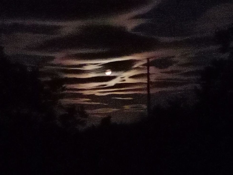 9 беспилотников сбили над соседним с Саратовской областью регионом