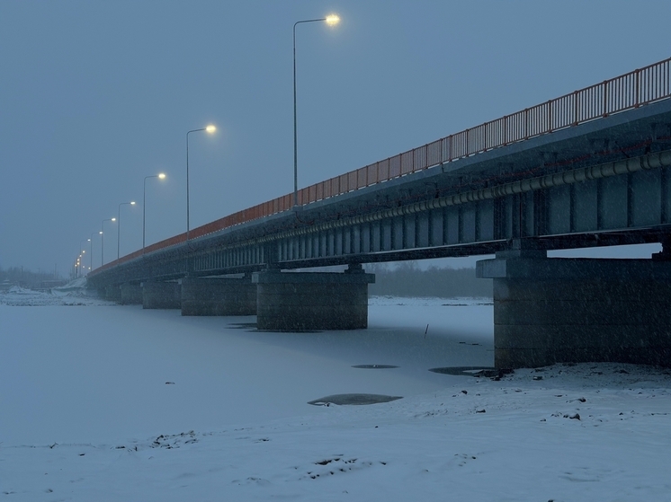 В Каргополе после капремонта открыли мост через Онегу