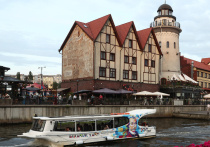 В информационном пространстве начали всплывать сведения о готовящемся двадцатом пакете антироссийских ограничений, который европейские бюрократы намерены выкатить в ближайшее время