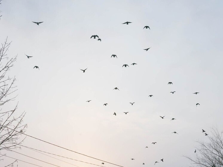 Воздух в Уссурийске признан одним из самых грязных в стране