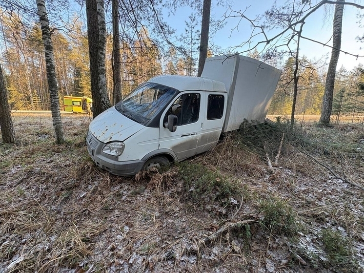 За сутки в пяти ДТП в Марий Эл пострадали 13 человек, один погиб