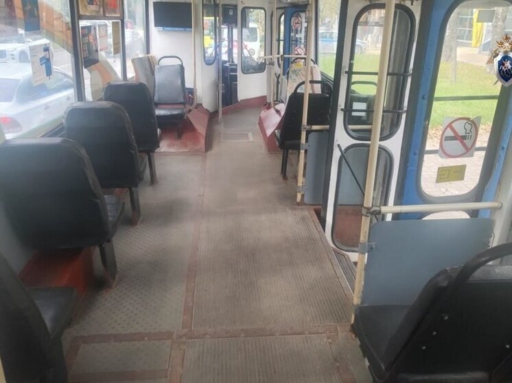 Бывший водитель троллейбуса в Йошкар-Оле обвинен в смерти пассажирки