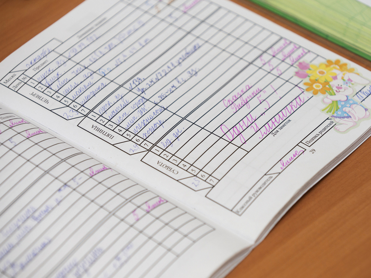 Эксперт Сженов: доступ к базе дневника должен быть бесплатным