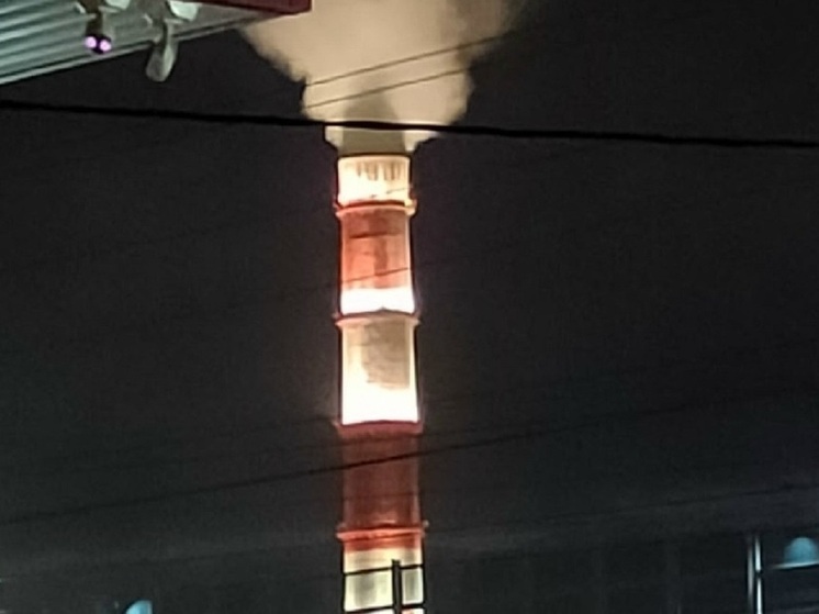 Полсотни экскурсий на энергообъектах прошли в Подмосковье в ноябре