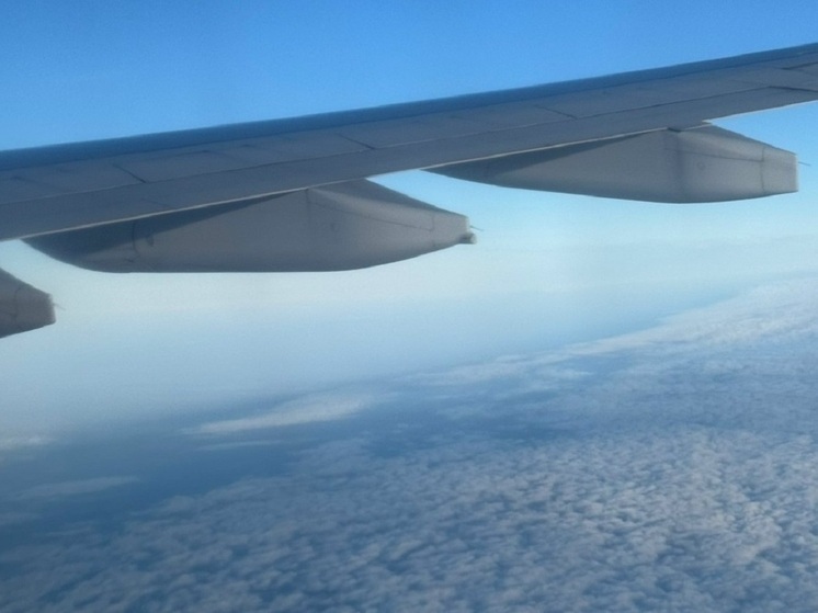 Амурчанин-дебошир «набросился» с нецензурной бранью на женщину в самолете