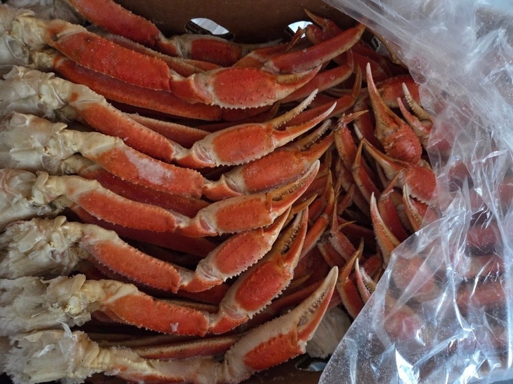 Больше 300 килограммов краба прилетело в Хакасию на самолете