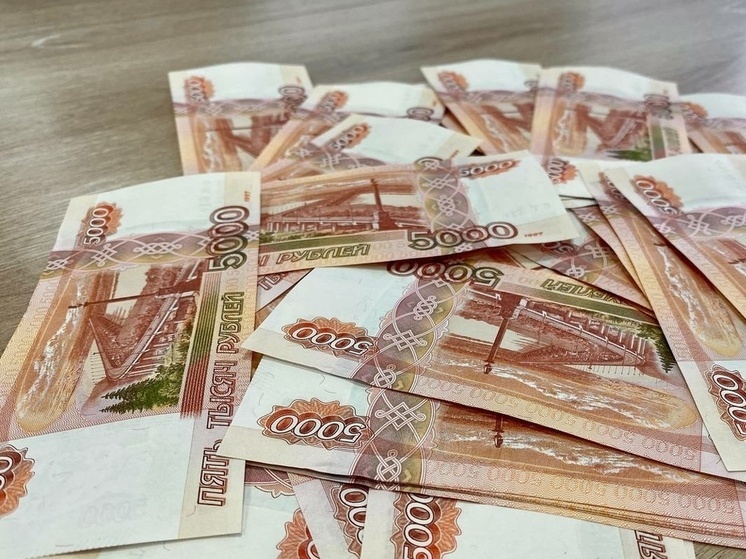 В Туле хозяев «Магазина Быстрых Кредитов» осудят за аферу с маткапиталом