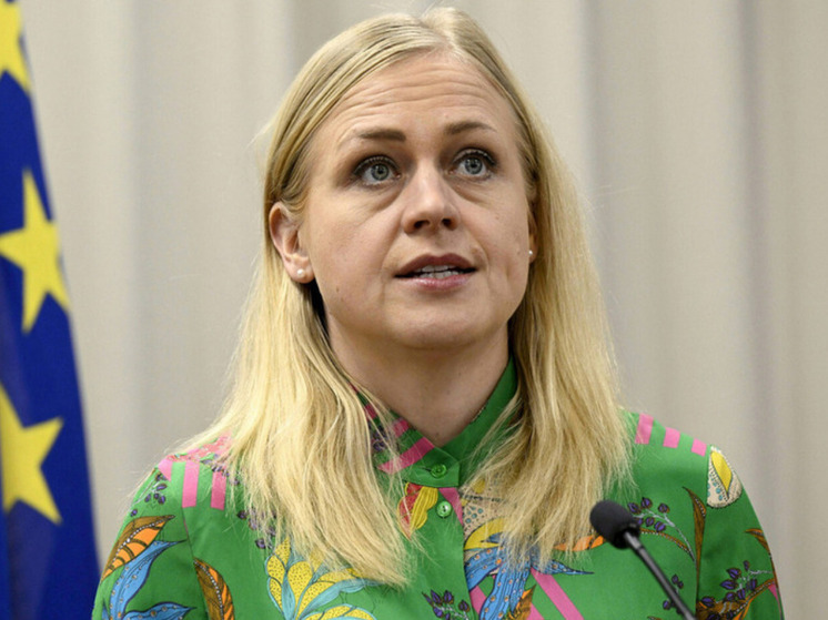 Малинен уличил главу МИД Финляндии Валтонен во лжи о России