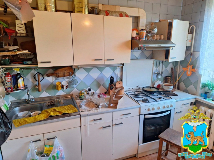 В Невеле ликвидирован наркопритон: полиция задержала ранее судимого местного жителя